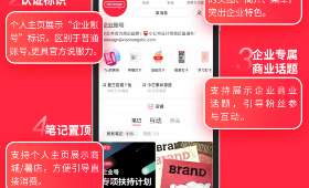 罗永浩涉足电商直播,创新、挑战与市场观察 罗永浩涉足电商直播,创新、挑战与市场观察